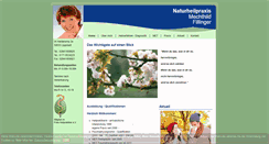 Desktop Screenshot of naturheilpraxis-fillinger.de